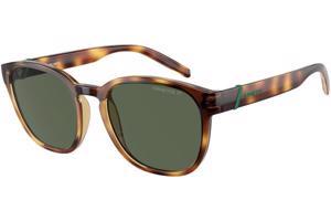 Arnette AN4319 27709A Polarized - ONE SIZE (53)