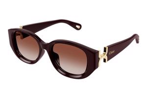Chloe CH0237SK 003 - ONE SIZE (54)