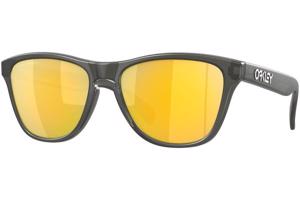 Oakley Frogskins XS OJ9006-37 Polarized - ONE SIZE (53)