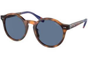 Polo Ralph Lauren PH4204U 608980 - M (50)