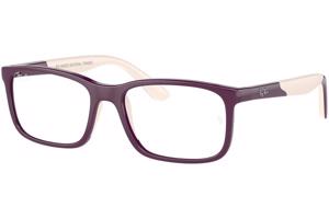 Ray-Ban Junior RY1621 3931 - L (49)