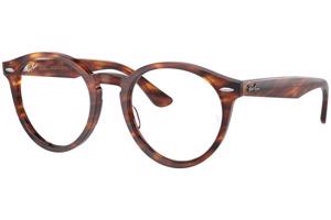 Ray-Ban Larry RX7680V 2144 - M (49)