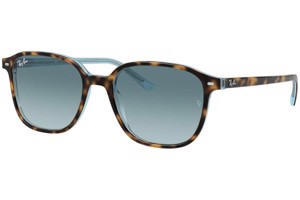 Ray-Ban Leonard RB2193 13163M - M (51)