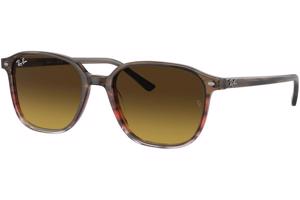 Ray-Ban Leonard RB2193 138085 - L (55)