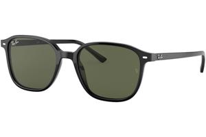 Ray-Ban Leonard RB2193 901/31 - L (55)