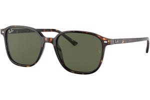 Ray-Ban Leonard RB2193 902/31 - L (55)