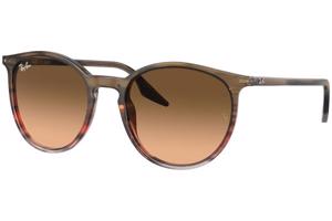 Ray-Ban RB2204 13953B - M (51)